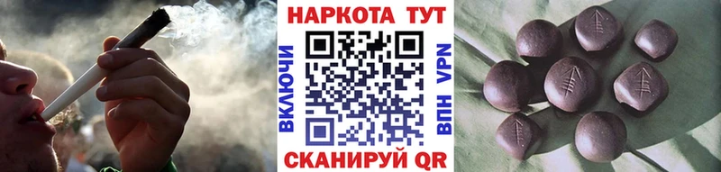 Виды наркоты Аргун Канабис Alpha PVP Галлюциногенные грибы Меф COCAIN ГАШ