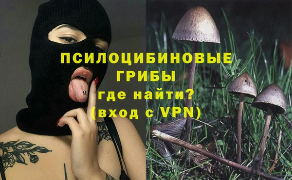 шишки Покров