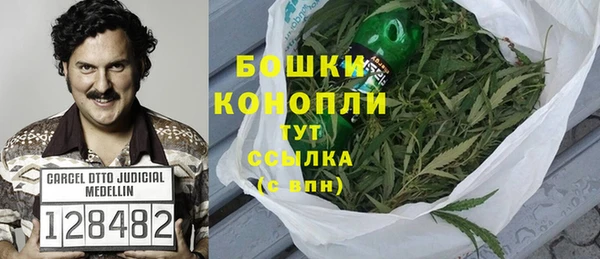 PSILOCYBIN Пестово