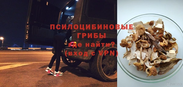 дурь Покачи