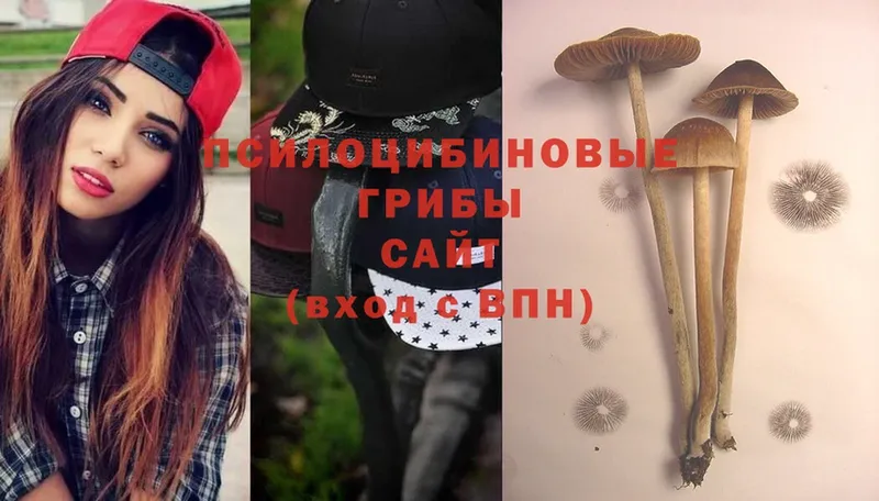 Псилоцибиновые грибы MAGIC MUSHROOMS  KRAKEN tor  Аргун 