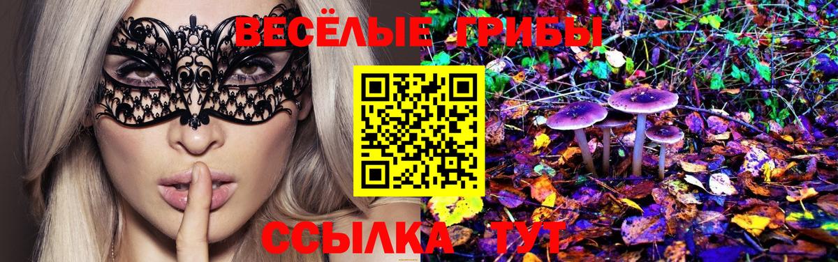 Галлюциногенные грибы Cubensis  Вход с VPN  Галлюциногенные грибы Psilocybine cubensis  закладки  Аргун 