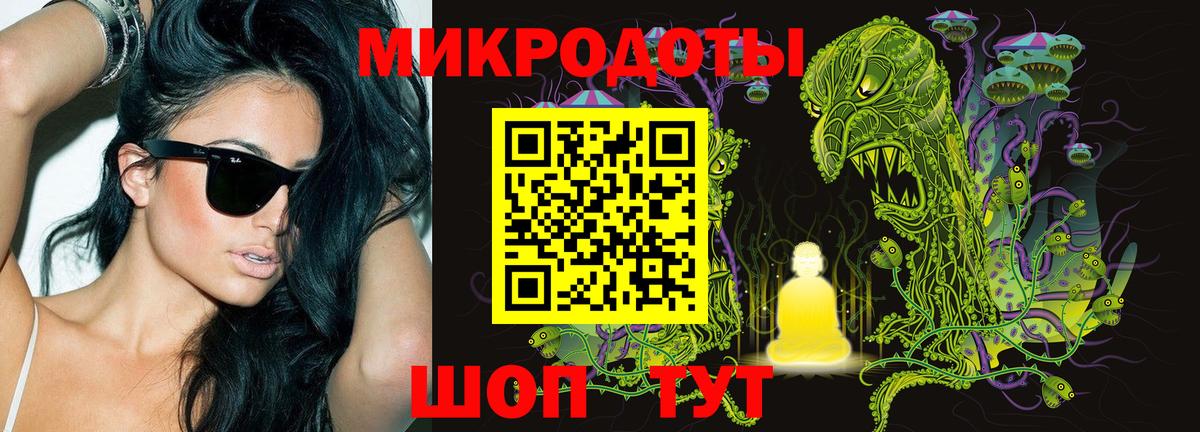 Галлюциногенные грибы Psilocybine cubensis  Аргун 